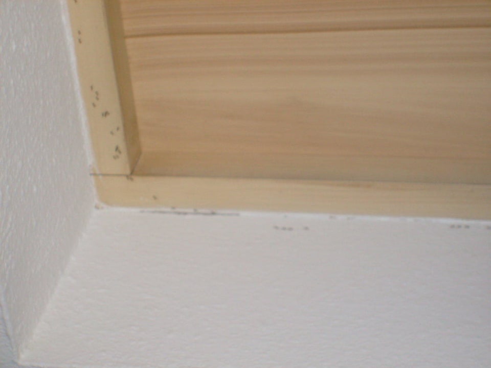 Ameisen im Zimmer HSM Club Torre Blanca