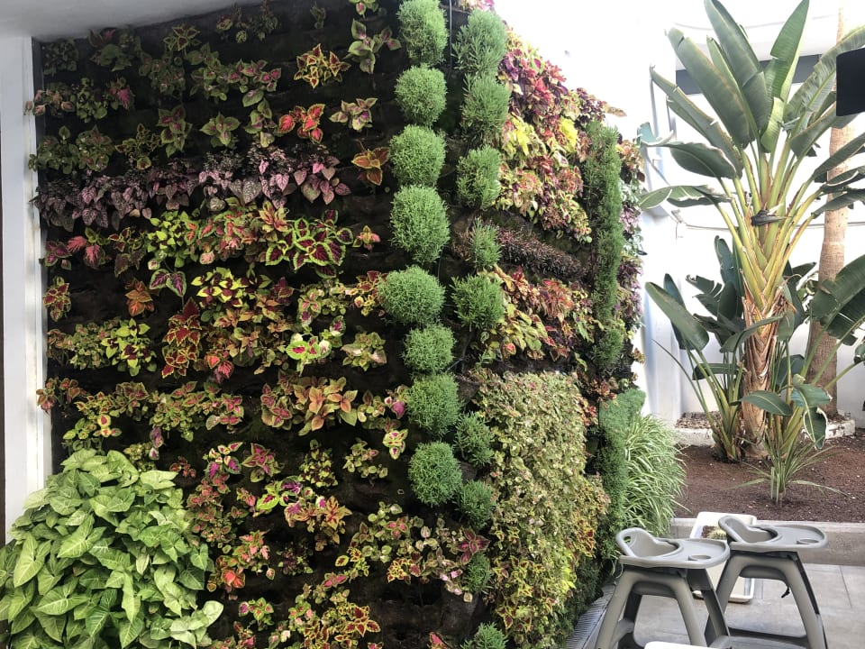 Sonstiges alltoura Club Hotel Akeah Broncemar