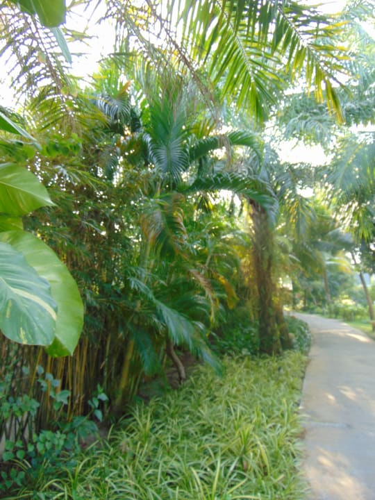 Gartenanlage Novotel Phu Quoc Resort