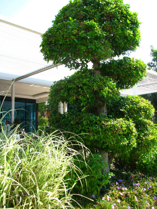 2015.09.15-22 Q Premium Resort