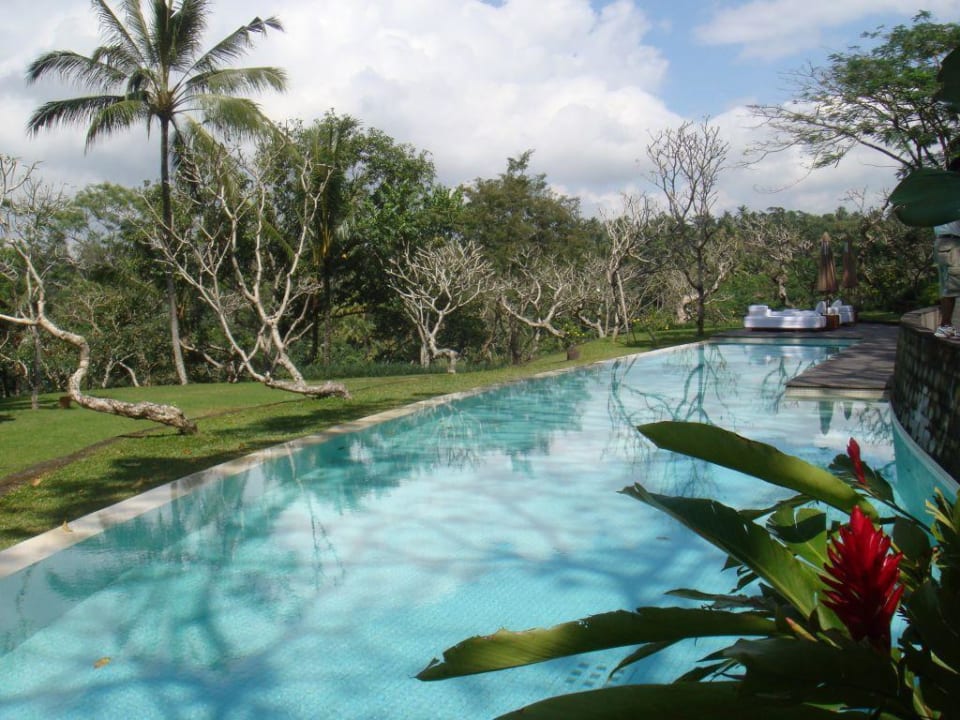 LAP Pool Hauptpool COMO Shambhala Estate