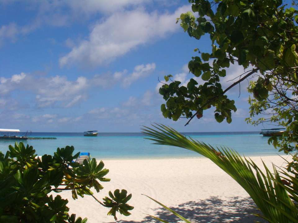 Blick vom Bungalow Summer Island Maldives