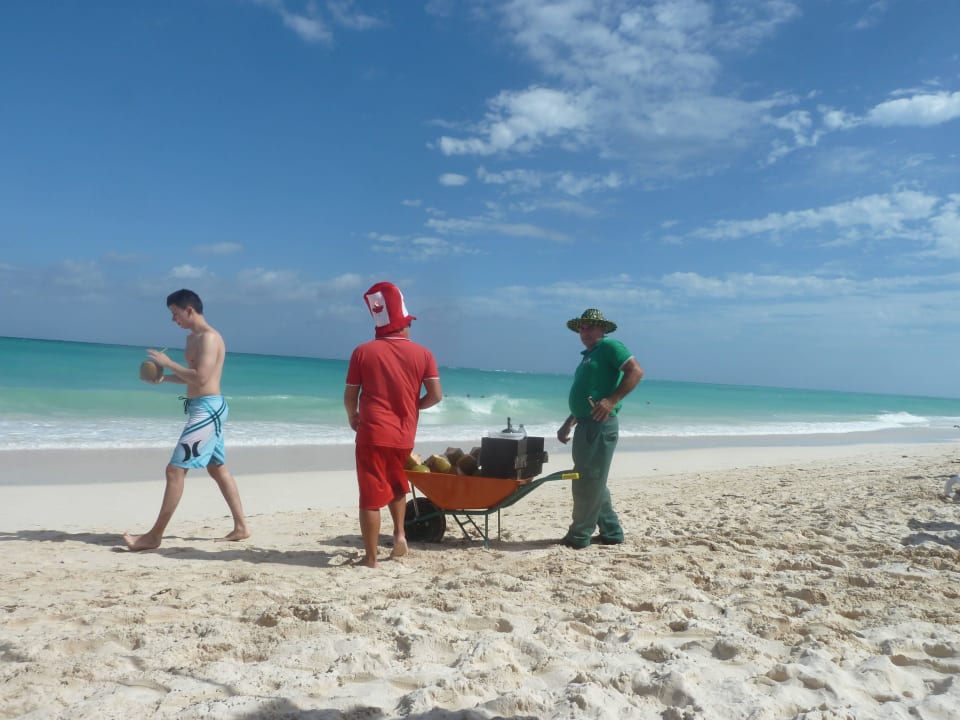 Leckere Coconuts mit Rum Hotel Melia Cayo Coco - Adults only