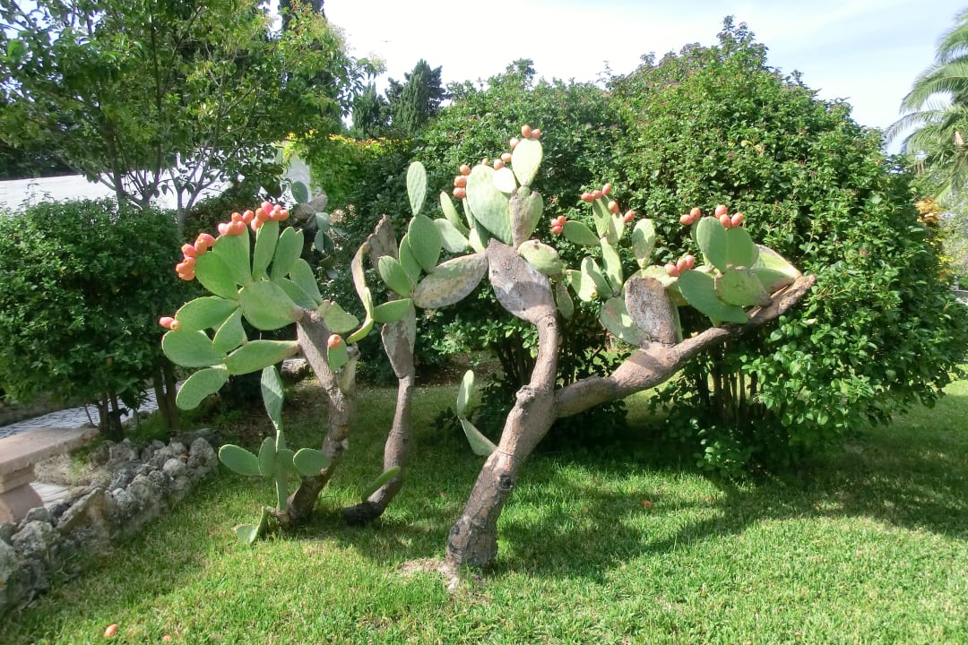 Hotel Aldiana Club Rocca Nettuno Calabria