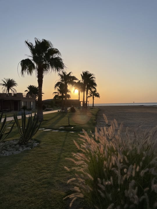 Gartenanlage Shams Prestige Abu Soma-Adults Only