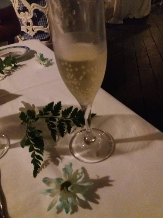 Lobster meal Sunscape Puerto Plata