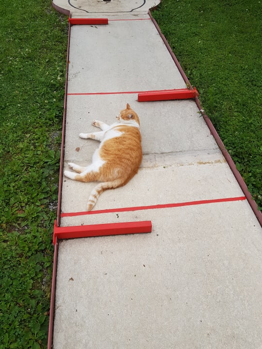 Sport & Freizeit Gasthof Knappenwirt