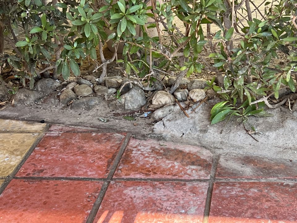 Gastro Skanes Serail Aquapark