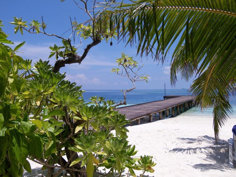 Palmen Adaaran Club Rannalhi - All Inclusive