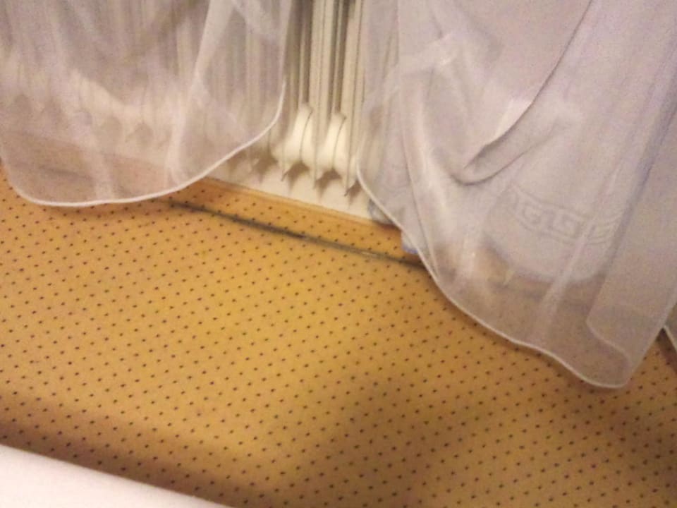 Geschmackssache Holzschuh’s Schwarzwaldhotel