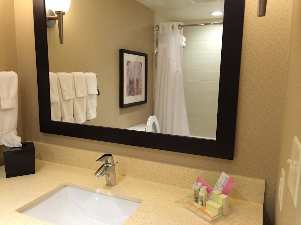 Badezimmer Holiday Inn Charleston Historic Downtown