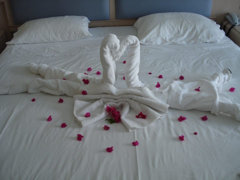 Handtuchkunst Lindos Princess Beach Resort & Spa