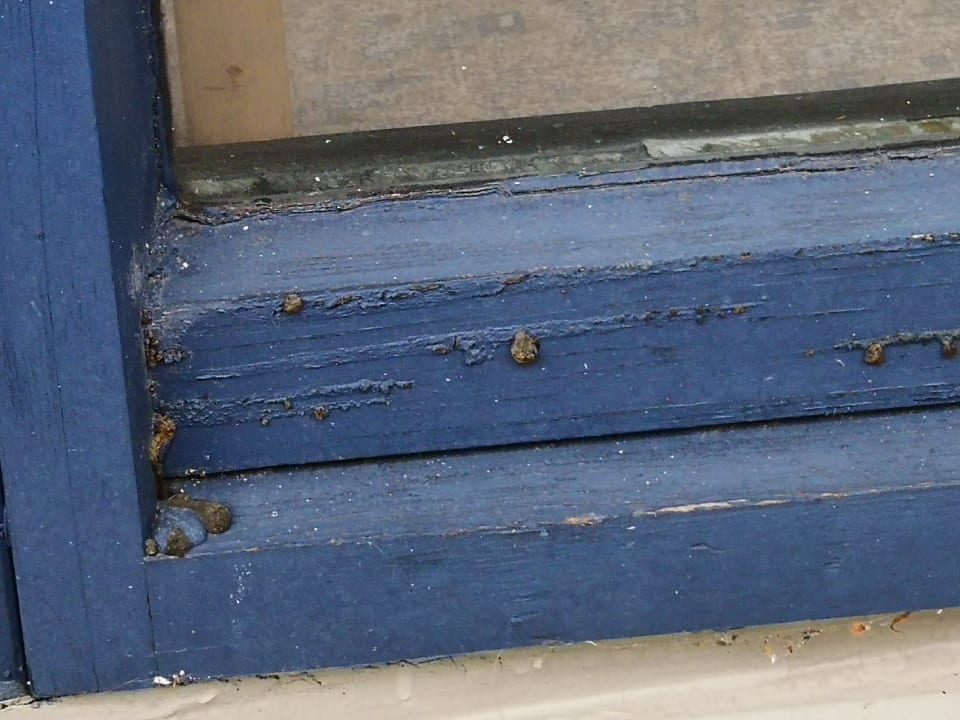 Sonstiges Panoramic - Ihr Apartmenthotel im Harz