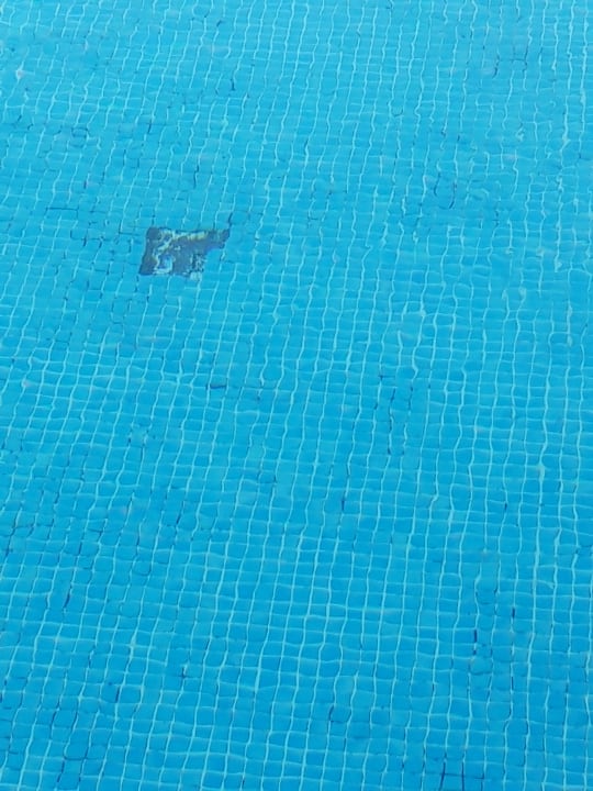 Pool Los Olivos Beach Resort