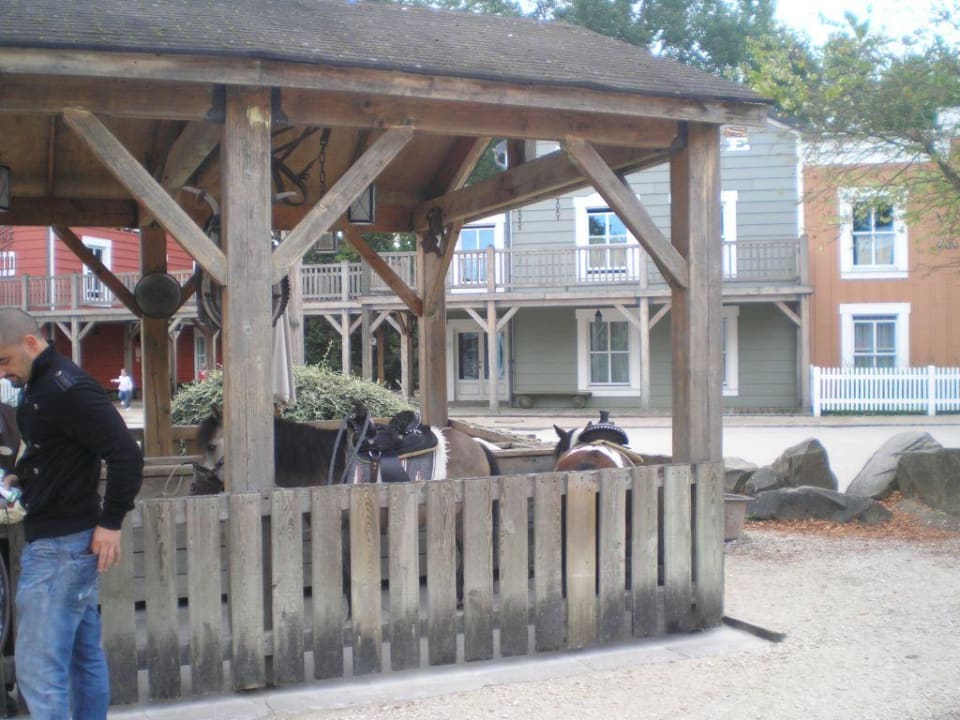 Establo de ponnis Disney's Hotel Cheyenne