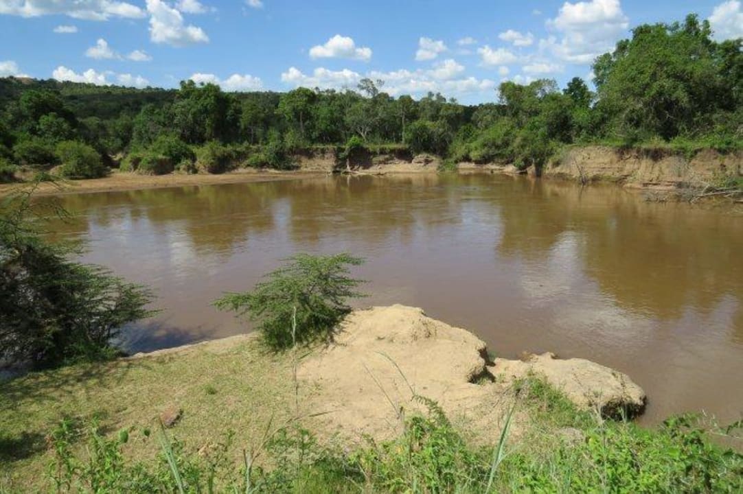 Hippo Pool Royal Mara Safari Lodge