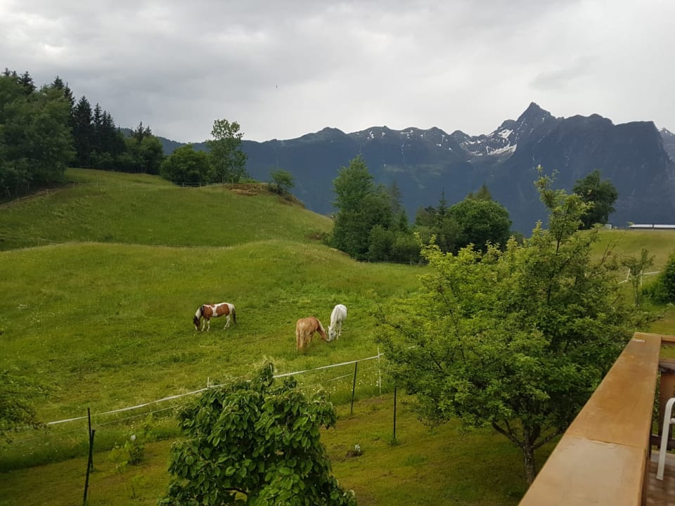 Ausblick Ferienhof Haderlehn