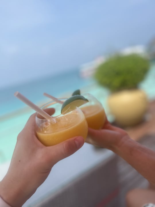 Gastro Sun Siyam Vilu Reef