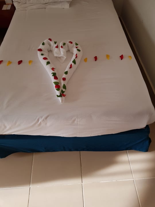 Zimmer Serenity Alma Heights