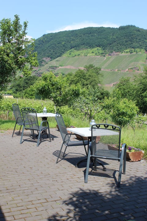 Ausblick Pension auf dem Weingut Edgar Schwaab
