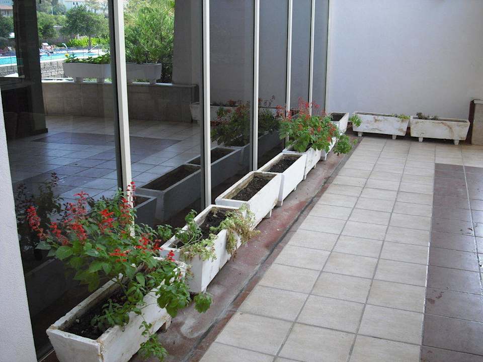 Der Weg zum Pool Resort Armas Gül Beach