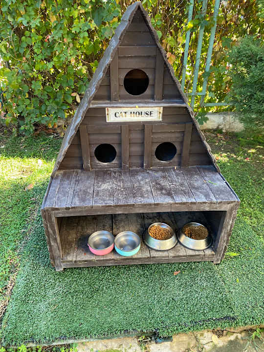 Gartenanlage Trendy Palm Beach (Adults Only, 16+)