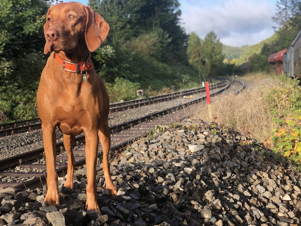 Sonstiges AKZENT Hotel Goldner Stern