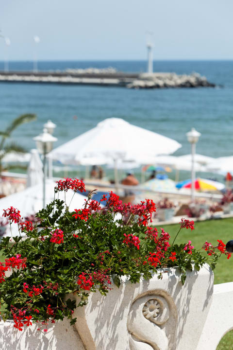 Ausblick Hotel Palace, Sunny Day Resort