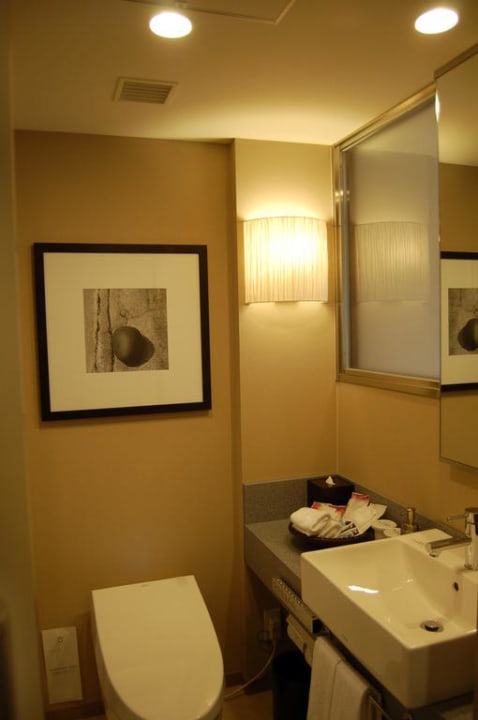 Baño Hotel Ryumeikan Tokyo