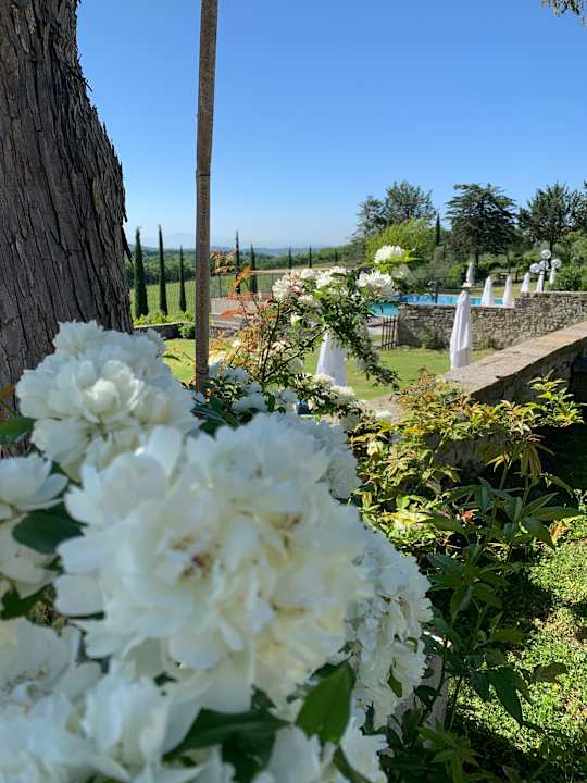 Gartenanlage Hotel Fattoria Casafrassi Albergo