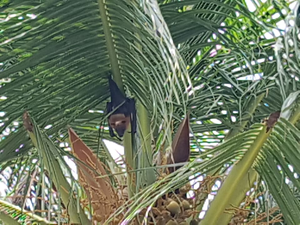 Sonstiges Adaaran Select Hudhuran Fushi - Premium All Inclusive