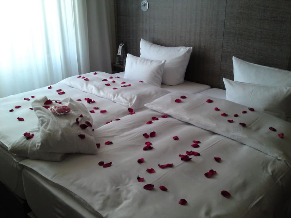 Bett pentahotel Braunschweig