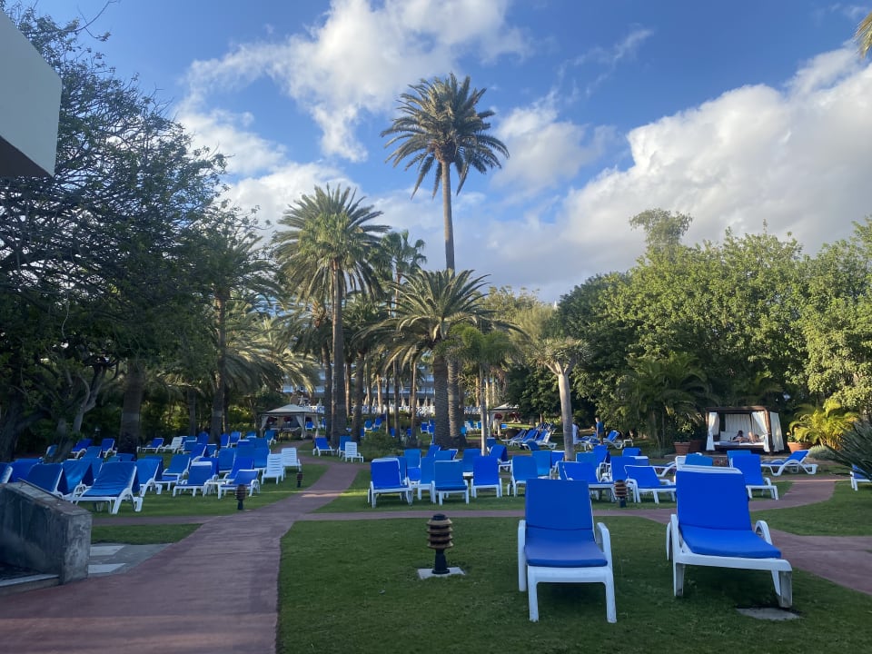 Pool Bull Costa Canaria & Spa - Adults only