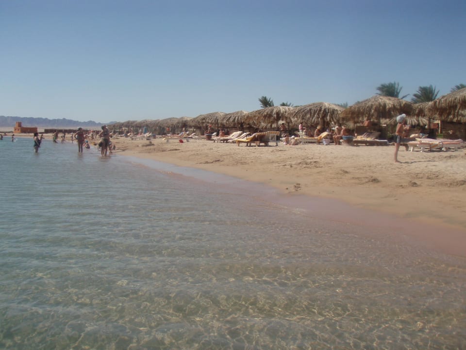 Der hoteleigene Traumstrand Sentido Caribbean World Soma Bay