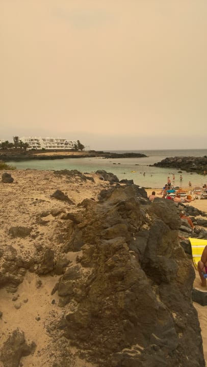 Strand allsun App.-Hotel Albatros