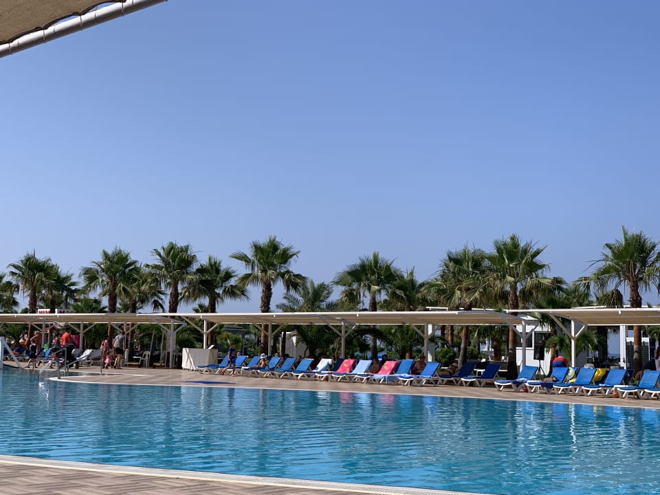 Pool Sultan of Dreams Hotel & Spa