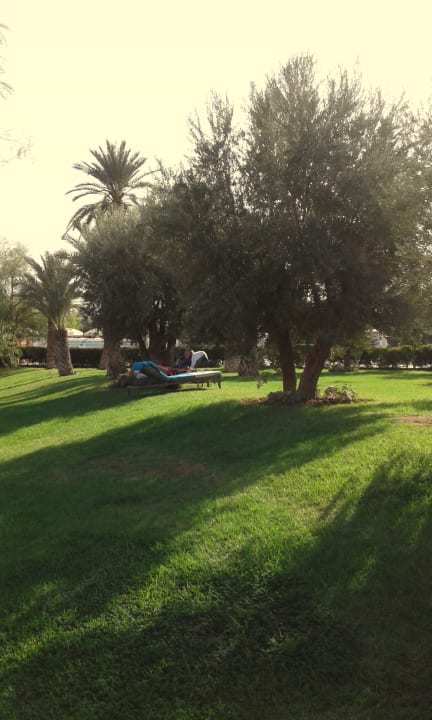 Gartenanlage Hotel Kenzi Club Agdal Medina
