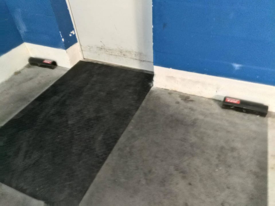 Rattenfalle in Tiefgarage Golden Tulip Międzyzdroje Residence