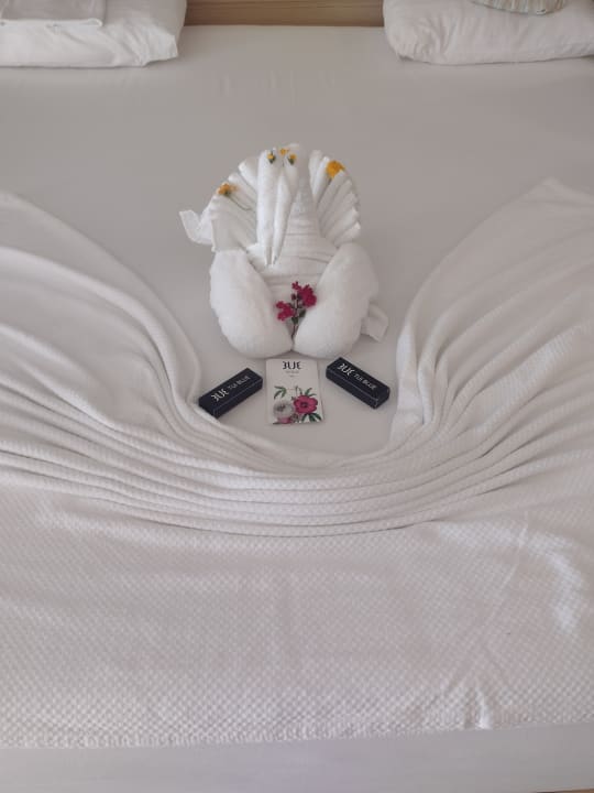 Zimmer TUI BLUE Seno - Adults Only