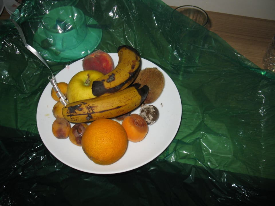 Dieses Obst stand 3 Tage bei 40° im Flur Club Side Coast