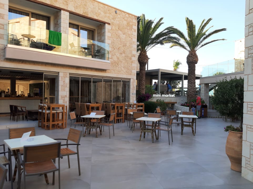 Gastro Cactus Beach