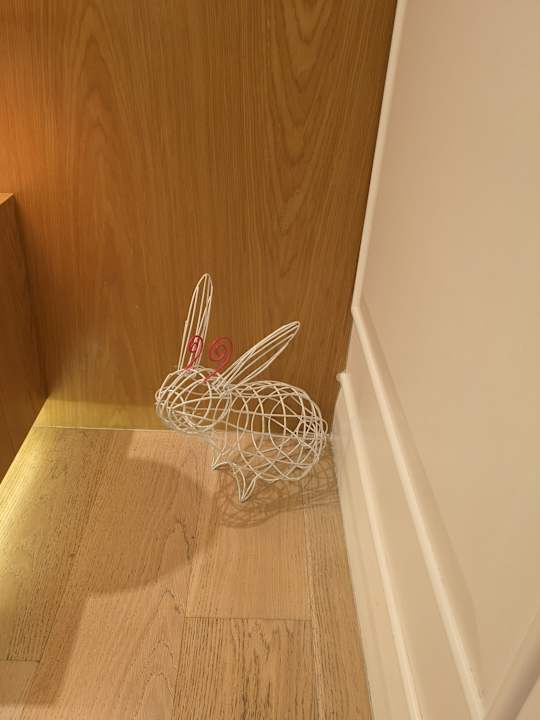 Zimmer Macalister Mansion