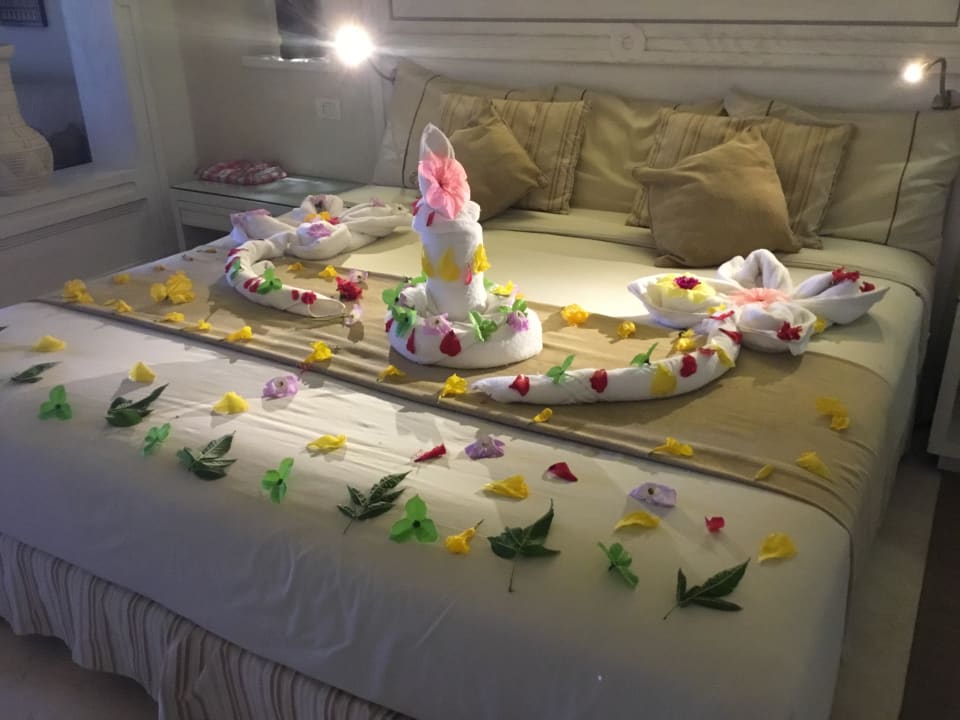 Zimmer Makadi Spa - Adults only