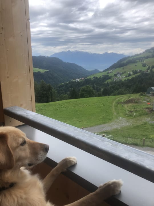 Ausblick JUFA Hotel Laterns