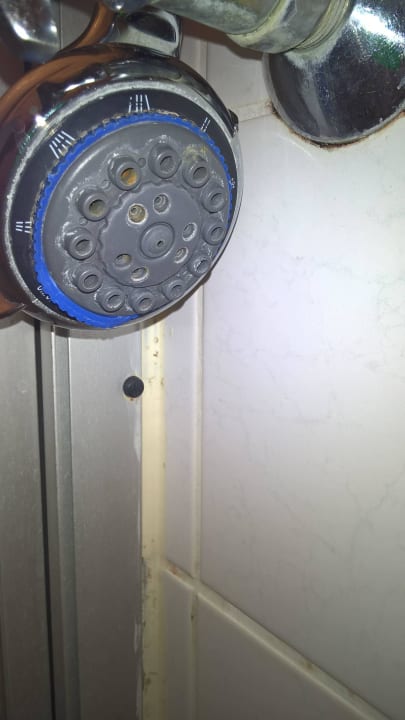 Duschkopf Hotel Silberne Rose