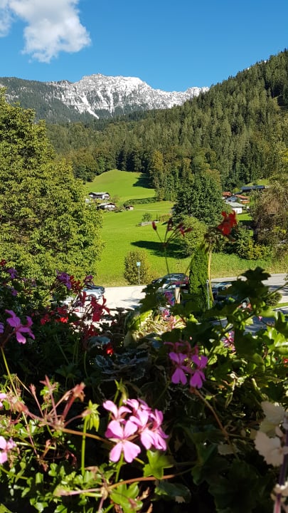Ausblick Alm- & Wellnesshotel Alpenhof