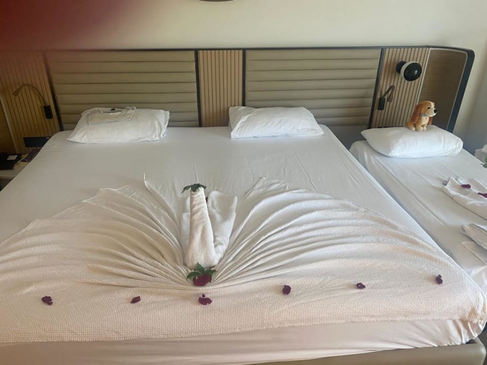 Zimmer Belek Beach Resort Hotel