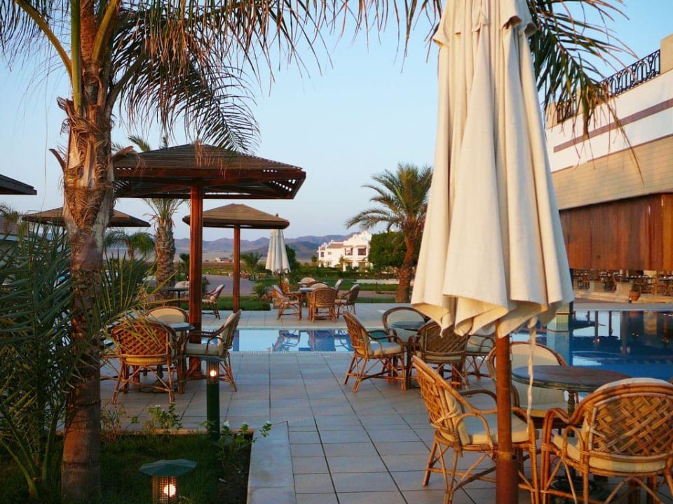 Poolbar im Morgenlicht Lahami Bay Beach Resort