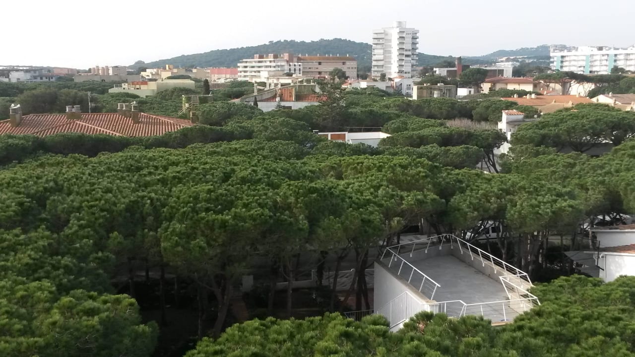 Blick vom Balkon über die Pinien Goetten Apartamentos
