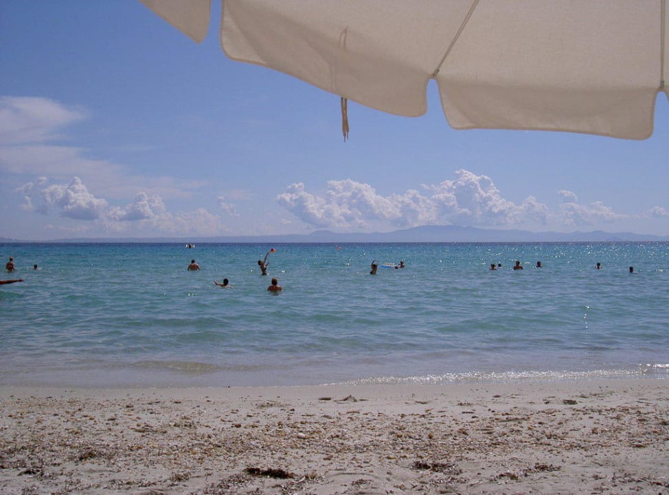 Hotel-Strand Ammon Zeus Luxury Beach Hotel